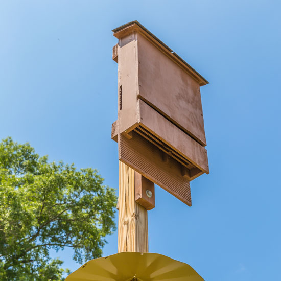 ECO-FARM DONATION - Image 4