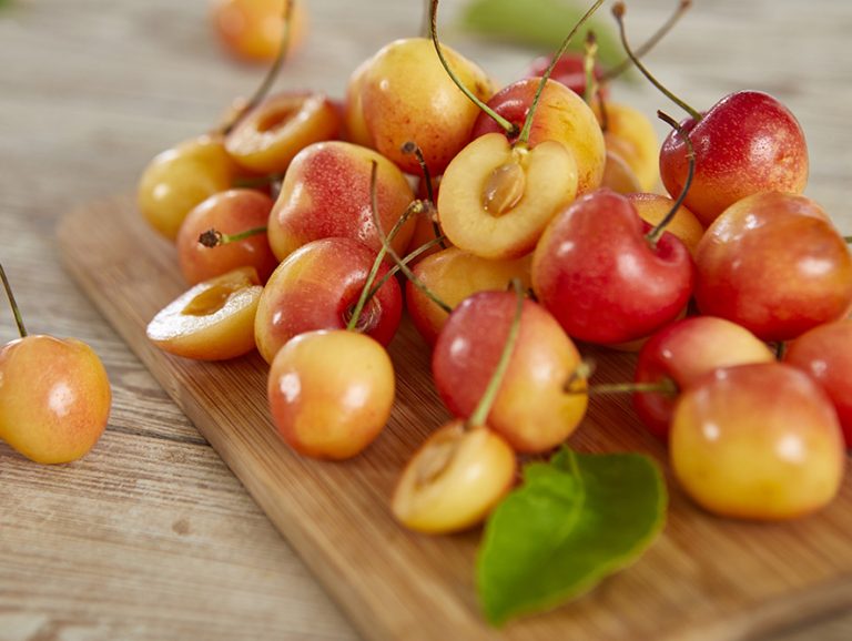 'Rainier' Cherry Linden Lane Farms