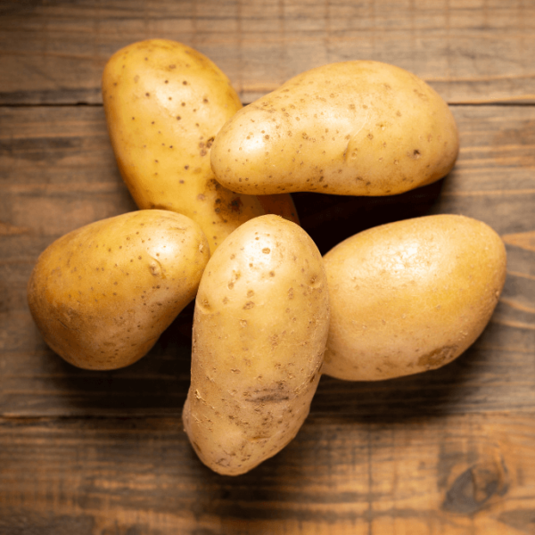 'Kennebec' Organic Seed Potato