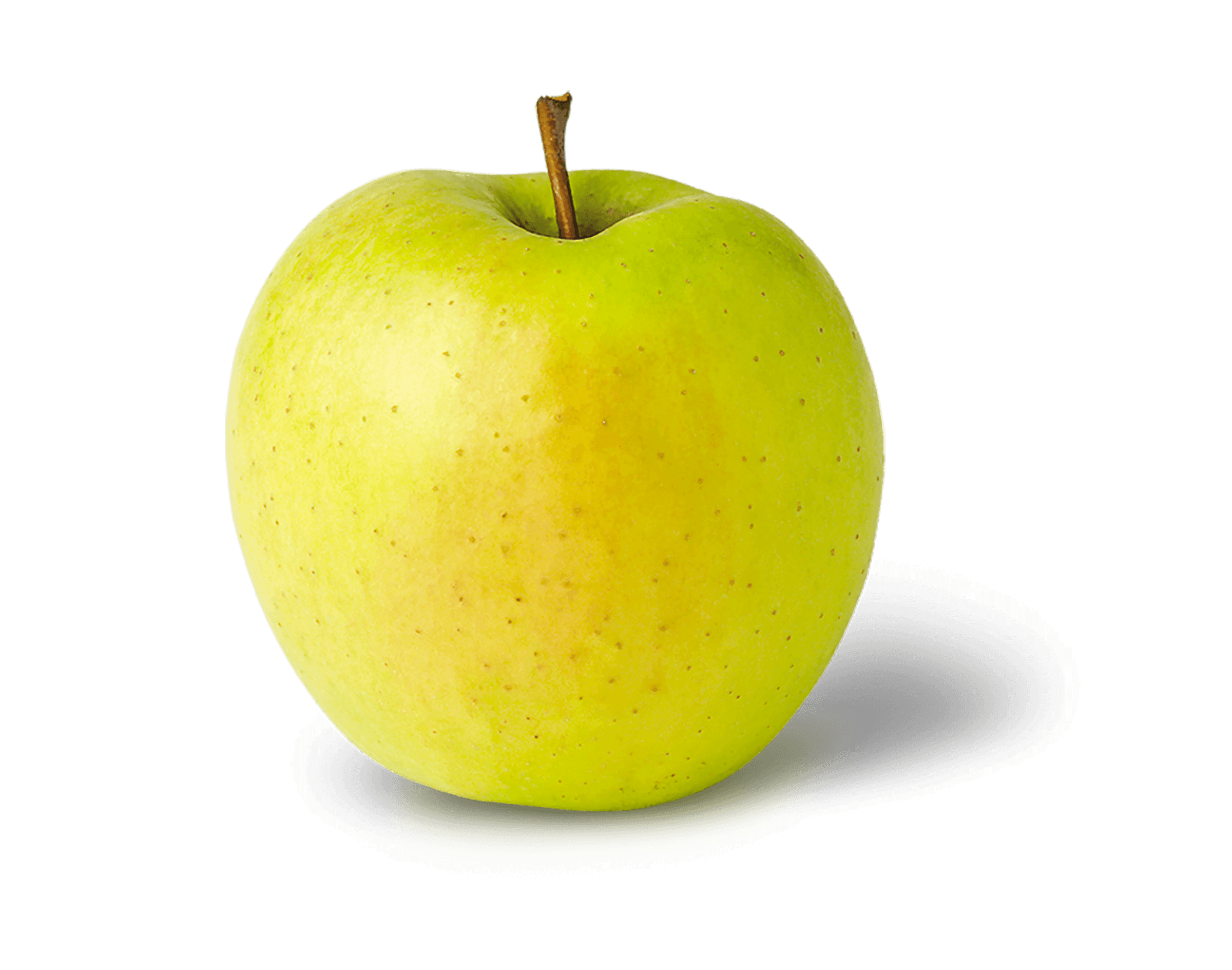 Golden Delicious' Apple (Dwarf)
